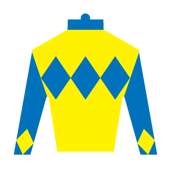 Derby Silk in Blue and Yellow Sticker
